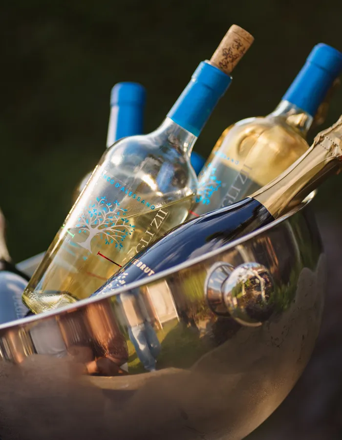 Witte wijn en Spumante Brut van Gusto degli Zii in een ijsemmer